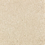 Bon Appetit Salutation Carpet