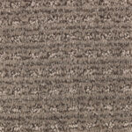 Candy Rustic Taupe Carpet