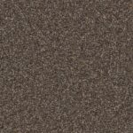 Delicate Touch Wonderful Carpet