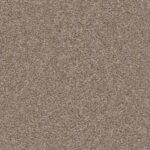 Imagination Pleasing Carpet