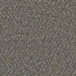 Noteworthy Accomplish Carpet