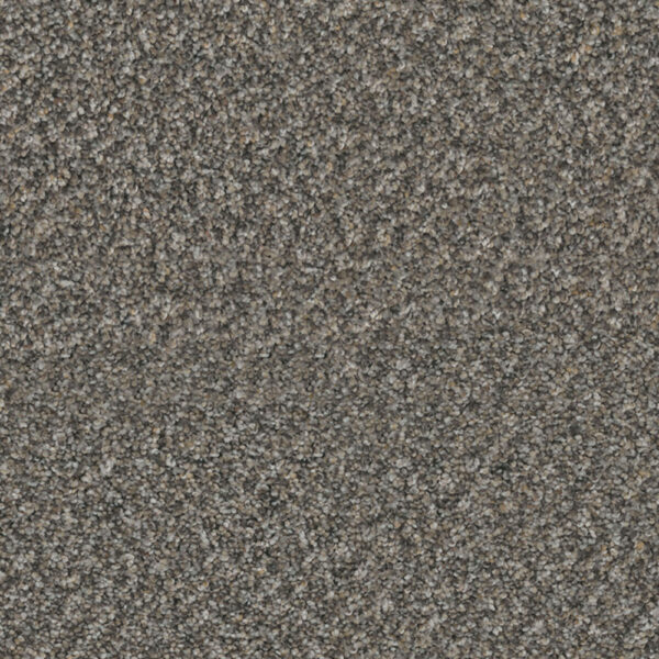 Noteworthy Accomplish Carpet