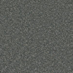 Noteworthy Advance Carpet