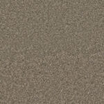 Noteworthy Commit Carpet