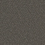 Noteworthy Eclipse Carpet