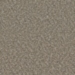 Noteworthy Establish Carpet