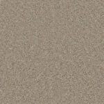 Noteworthy Gain Carpet