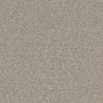 Noteworthy Go Beyond Carpet