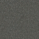 Noteworthy Outshine Carpet