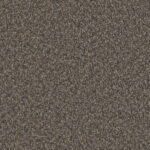 Noteworthy Overcome Carpet