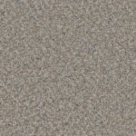 Noteworthy Prosper Carpet