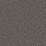 Noteworthy Revamp Carpet