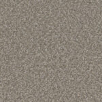 Noteworthy Transcend Carpet