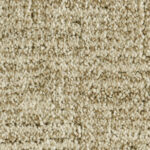 Pretty Special Beachfront Carpet