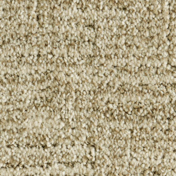 Pretty Special Beachfront Carpet