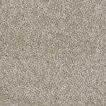 Queens Road Coastal Fog