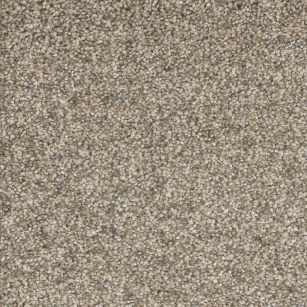 Quiet Color Dreamcatcher Carpet