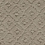 Remarkable Elegance Thoughts of Home Carpet