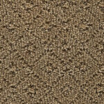 Remarkable Elegance Light Maple Carpet