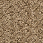 Remarkable Elegance Outback Carpet