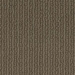 Soft Aspiration Powerful Carpet