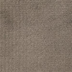 Elegant Evening Back Patio Carpet