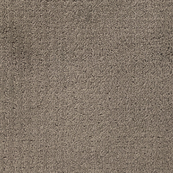 Elegant Evening Back Patio Carpet