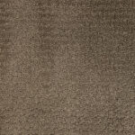 Elegant Evening Camping Trip Carpet