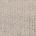 Elegant Evening Champagne Toast Carpet