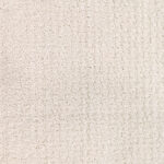 Elegant Evening Clean Linen Carpet