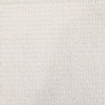 Elegant Evening Gallery Opening Carpet