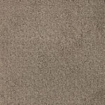 Elegant Evening My Haven Carpet