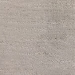 Elegant View Coming Home Carpet