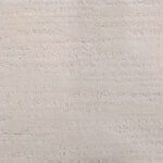 Elegant View Gallery Opening Carpet