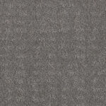 Tender Moment Grey Fox