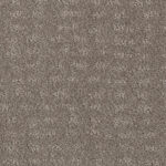 Tender Moment River Run