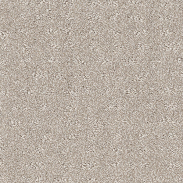 Tender Moment Winters Dawn