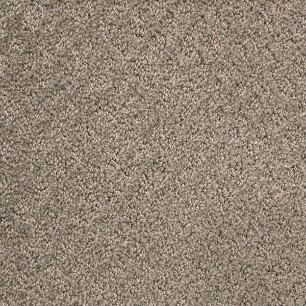 Tender Script Butter Cream Carpet