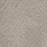 Tender Script Fossil Path Carpet