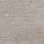 Carpet Elevation Change Coastal Dune