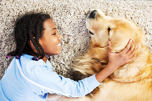 Carpet Care for Pets Dogs and Cats