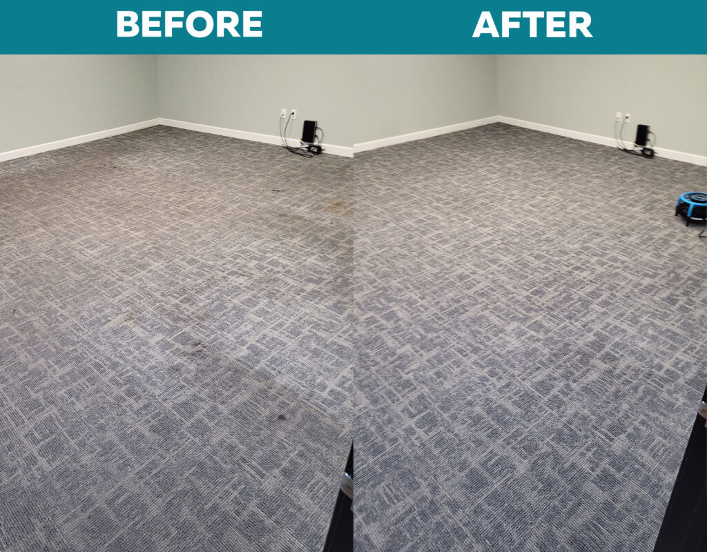 Commercial Carpet Cleaning Services