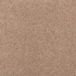 Cherished Thoughts Cattail