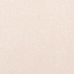 Cherished Thoughts Quiet Light